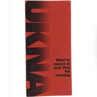 What to Expect at Your First Meeting
